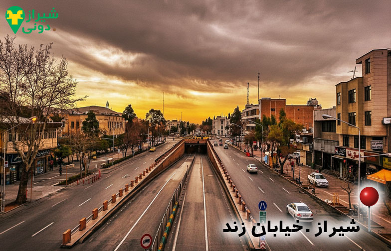 مسیر دسترسی به باغ نظر از خیابان زند شیراز