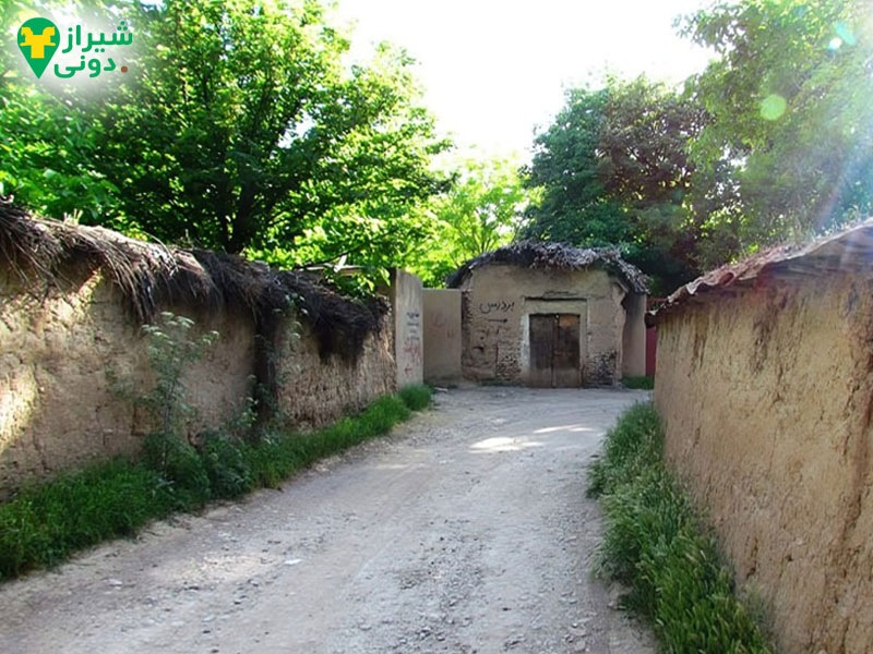 کوچه باغ های منطقه قصرالدشت شیراز