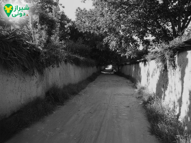 تاریخچه قصرالدشت شیراز