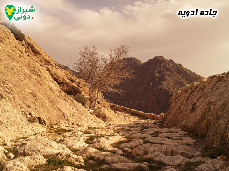 جاده ادویه (بقایای مسیر تاریخی) شهر جهرم