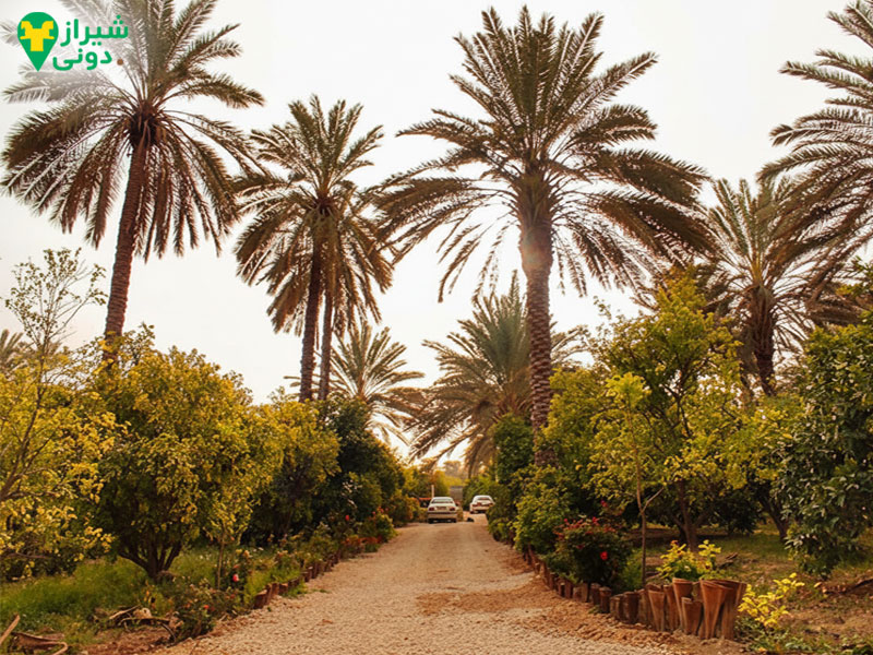 آب و هوای جهرم 