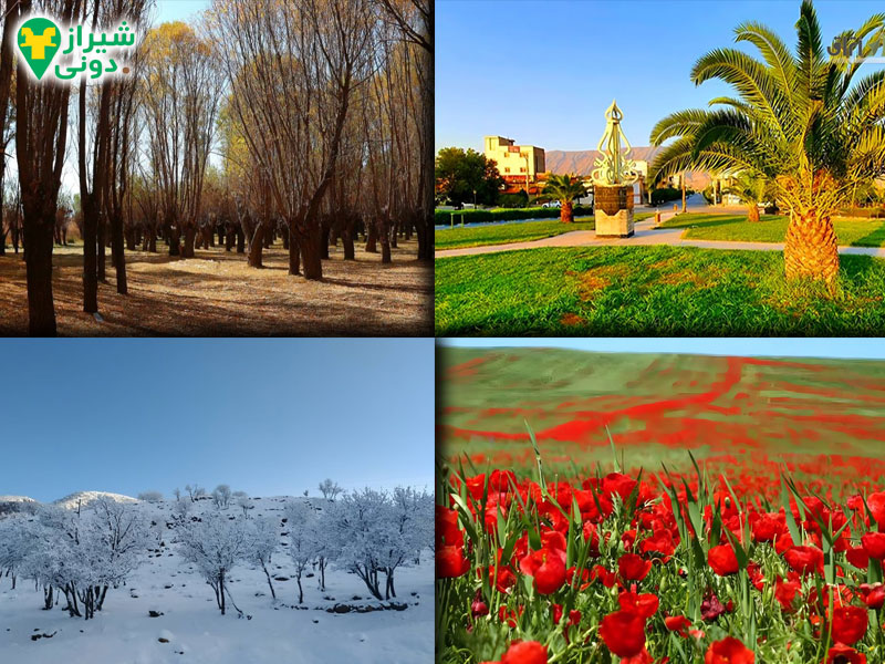 طبیعت شهر کازرون در فصول مختلف سال 
