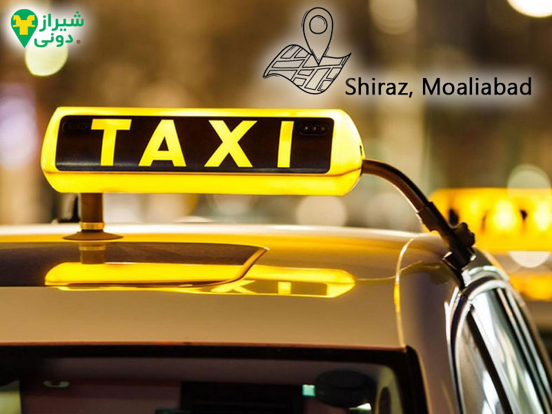 اتوبوس و تاکسی معالی آباد 