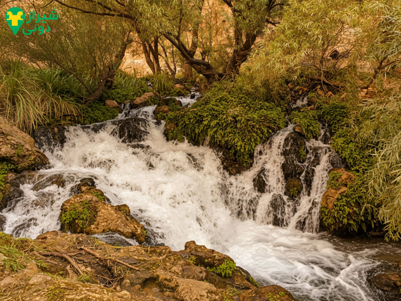 پهنابه طبیعت بکر شهر نی ریز